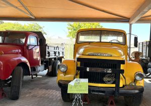 ALFA 1032 - רמלה עיר העולם שלא הכרתי: טעמים, היסטוריה ופסטיבל שחוגג עשור.